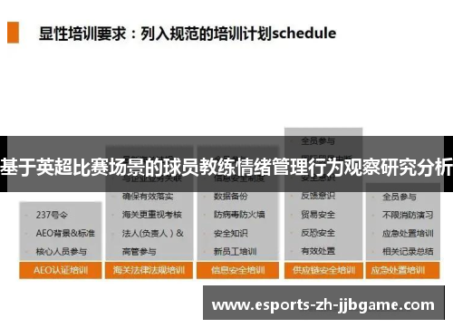 基于英超比赛场景的球员教练情绪管理行为观察研究分析 基于英超比赛场景的球员教练情绪管理行为观察研究分析